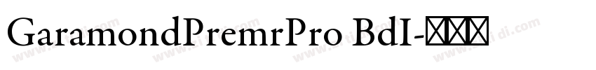 GaramondPremrPro BdI字体转换